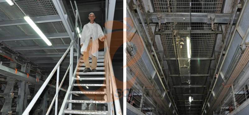 European poultry farm chicken cage (3).png