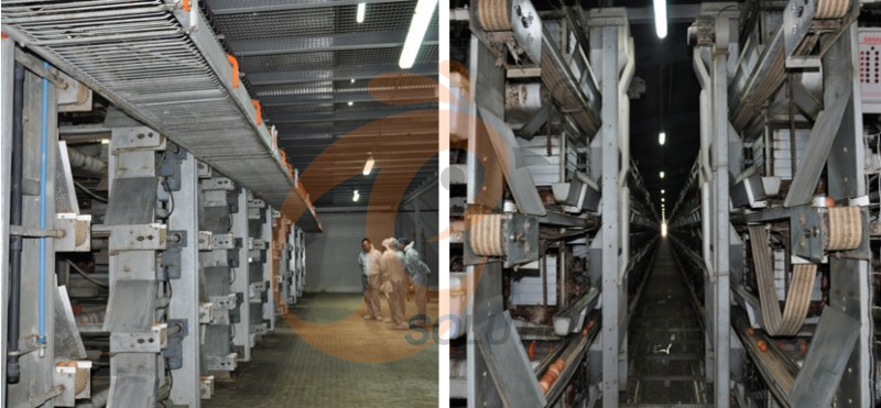 European poultry farm chicken cage (4).png