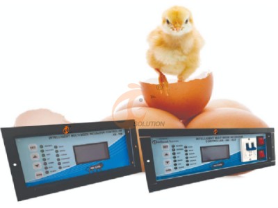 AI management poultry farm (10).png