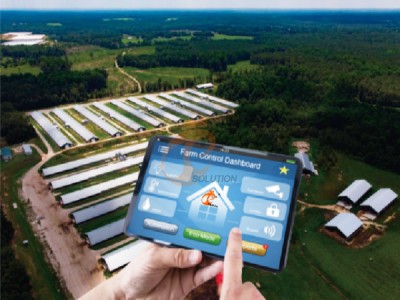 AI management poultry farm (1).png