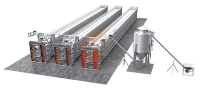 chicken cage poultry farm design (1).png