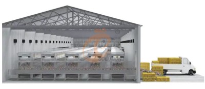 chicken cage poultry farm design (2).png