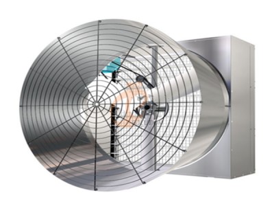 fan 2.png