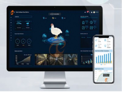 AI management poultry farm (9).png