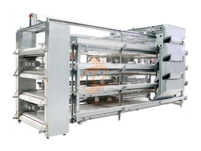 brooder chicken cage poultry farm (1).jpg