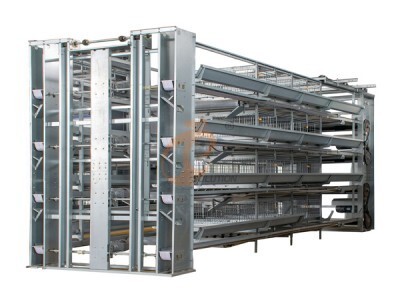 parents chicken cage poultry farm (1).jpg