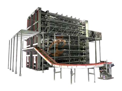 layer chicken cage poultry farm (3).png