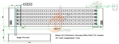 100000 layers poultry house.jpg