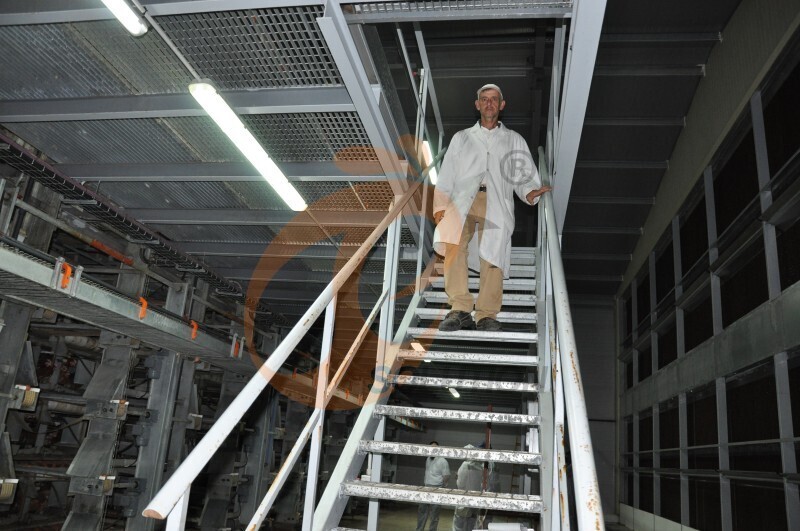 in chicken house walking steel grating (1).JPG