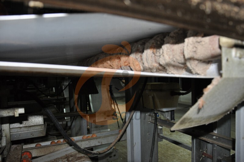 in chicken house manure convery belt system.JPG