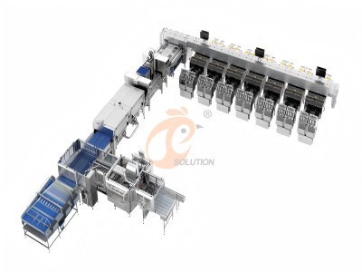 Egg sorting line.png