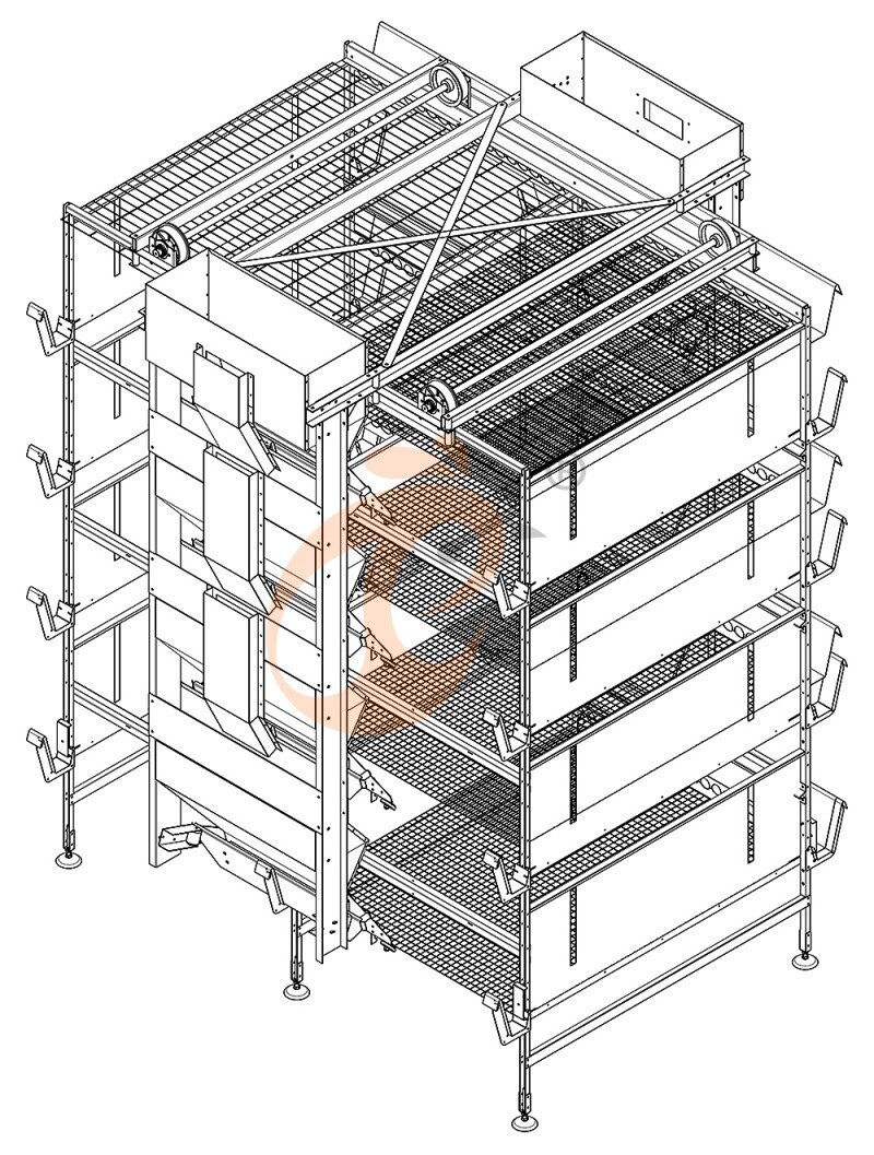 32000 pullet, brooder cage layout (1).jpg