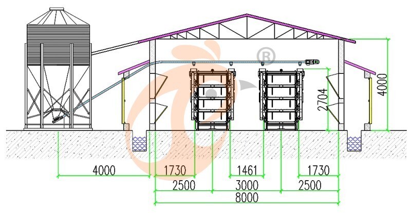32000 pullet, brooder cage layout (3).jpg