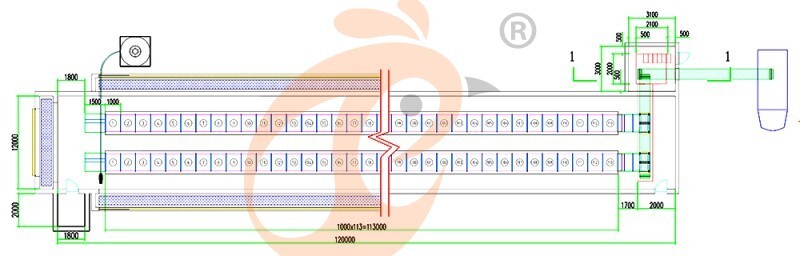 32000 pullet, brooder cage layout (6).jpg