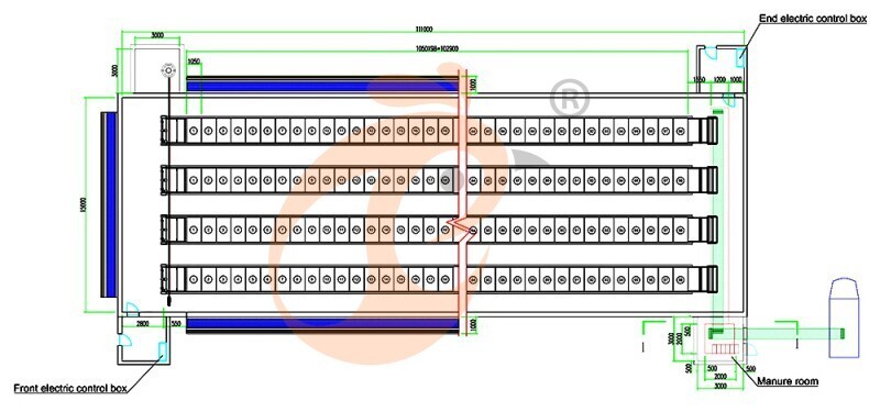 50000 broiler, broiler chicken cage layout (3).jpg