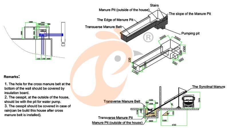 50000 broiler, broiler chicken cage layout (4).jpg