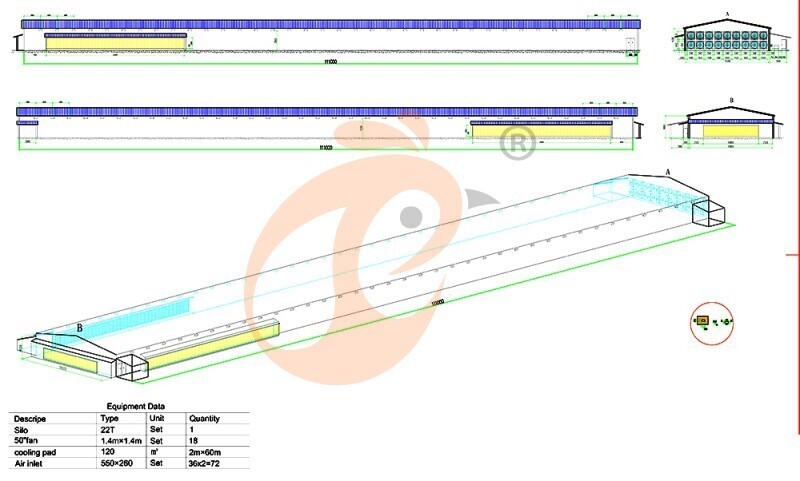 50000 broiler, broiler chicken cage layout (5).jpg