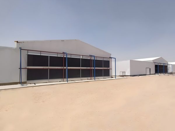 Abu Dhabi's poultry farm, 773,264 layers, layer chicken cage, poultry farm equipment