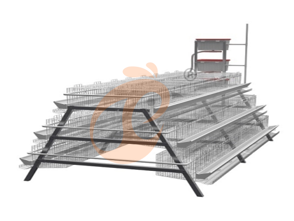 100 - 10,000 Layers Manure A Type Chicken Cage