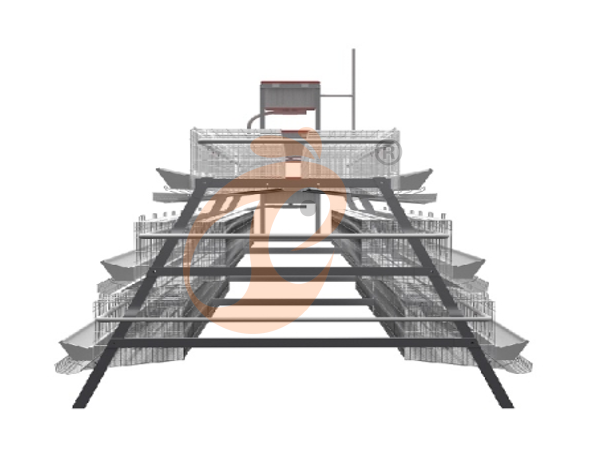100 - 10,000 Layers Manure A Type Chicken Cage