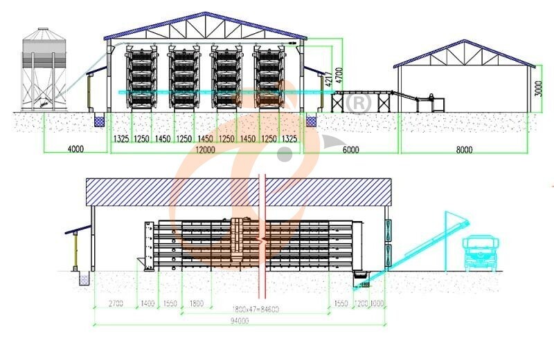 50000 layers chicken house, cage layout 800 (8).jpg 50000 layers chicken house, cage layout 800 (8).jpg
