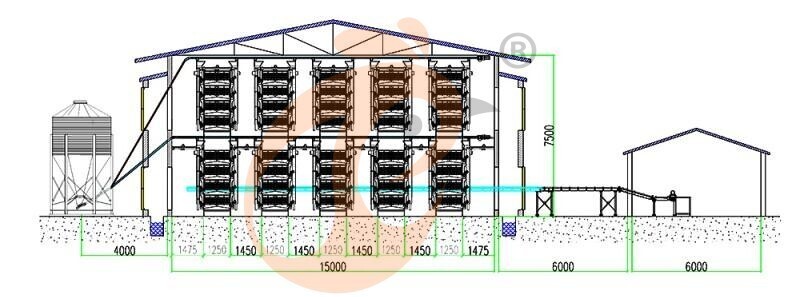 101520 layer, layer chicken cage layout (2).jpg 101520 layer, layer chicken cage layout (2).jpg