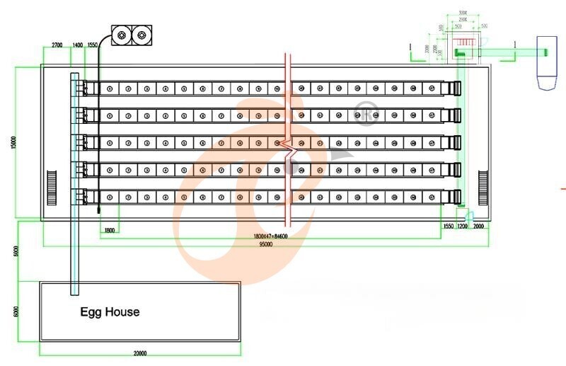 101520 layer, layer chicken cage layout (3).jpg 101520 layer, layer chicken cage layout (3).jpg