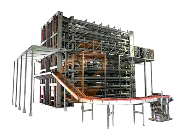 China Branch Manufacture Poultry Farm Equipment