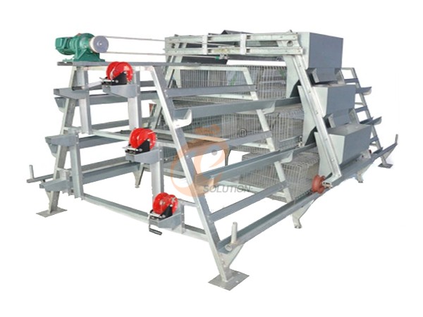 broiler chicken cage poultry farm (2).png