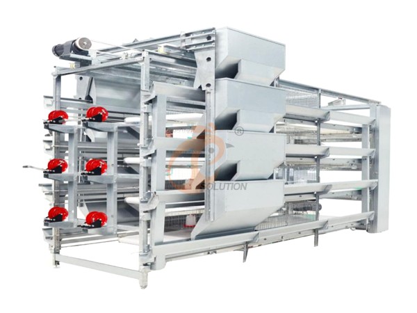 broiler chicken cage poultry farm (3).png
