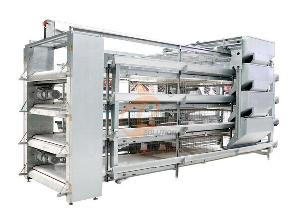 brooder chicken cage poultry farm (1).jpg