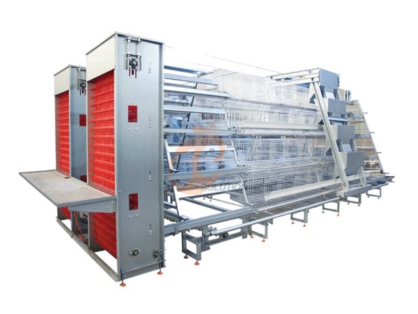 layer chicken cage poultry farm (1).png