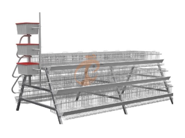 layer chicken cage poultry farm (2).png