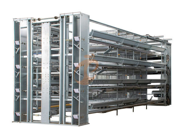 parents chicken cage poultry farm (1).jpg