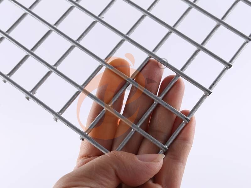 broiler chicken cage (2).jpg