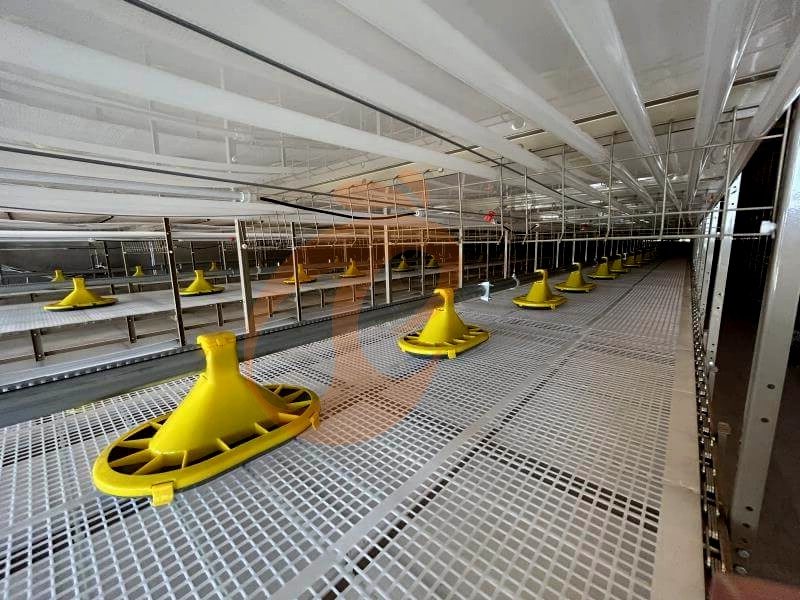 broiler chicken cage (4).png