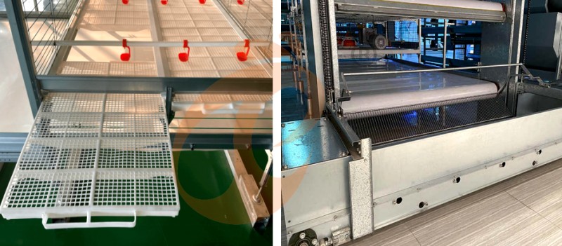 broiler chicken cage (6).png