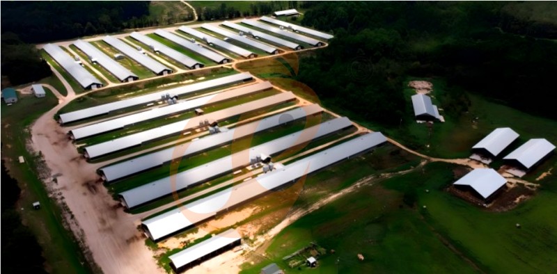 poultry farm chicken cage (3).png poultry farm chicken cage (3).png