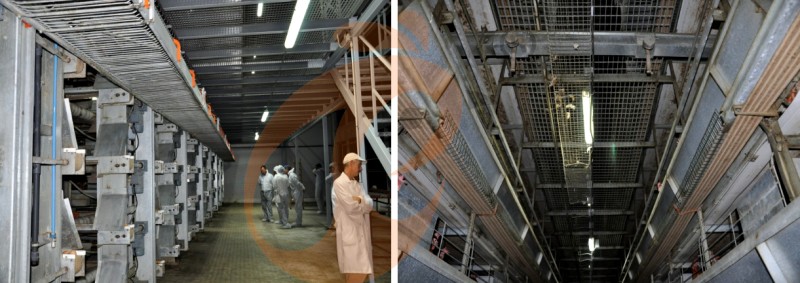 poultry farm chicken cage (6).png poultry farm chicken cage (6).png