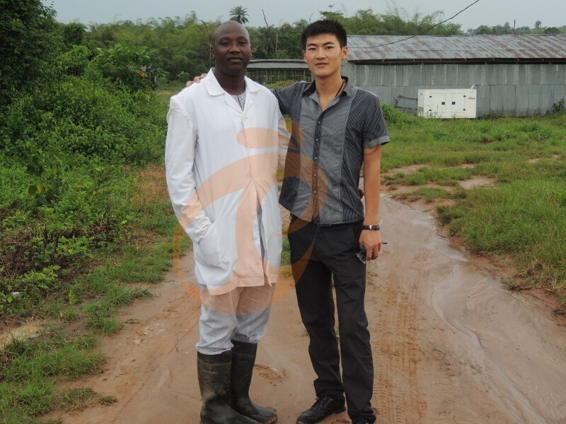 layer chicken farm Nigeria (6).jpg