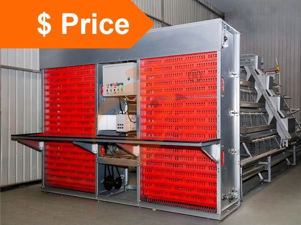 Battery cage system price per chicken, battery cage system's price in different countries