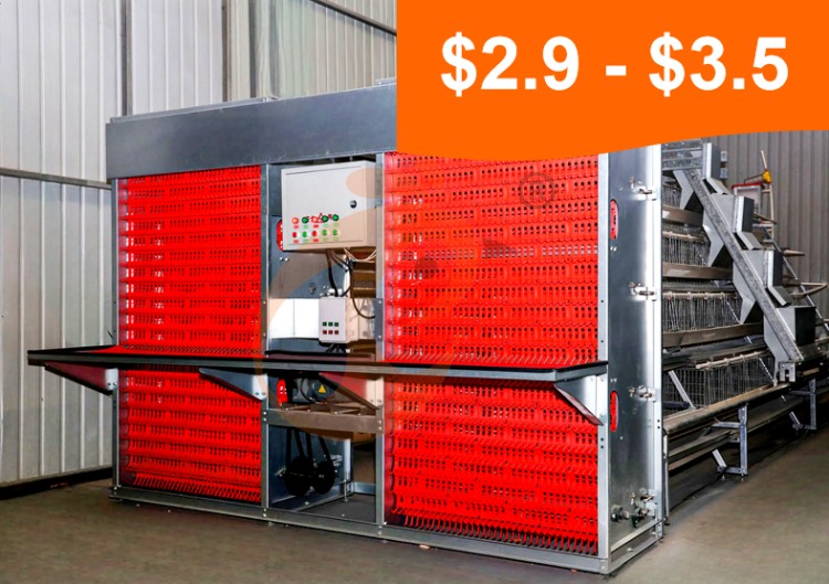 Battery cage system price of layer chicken (5) Battery cage system price of layer chicken (5)