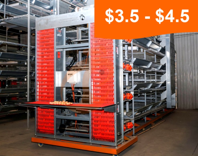 Battery cage system price of layer chicken (6) Battery cage system price of layer chicken (6)