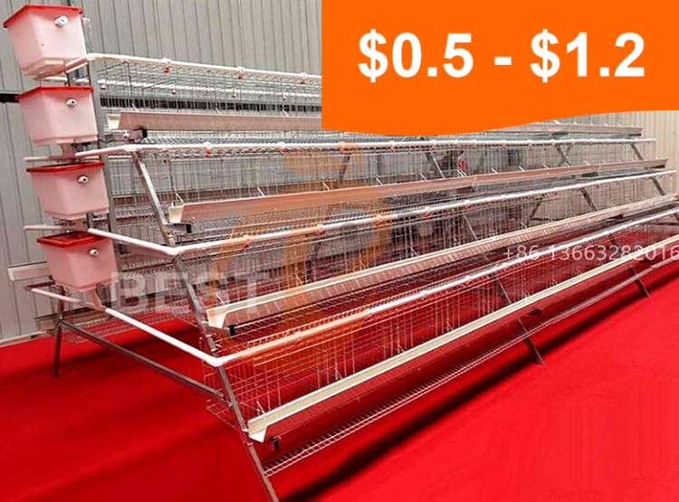 Battery cage system price of layer chicken (7) Battery cage system price of layer chicken (7)