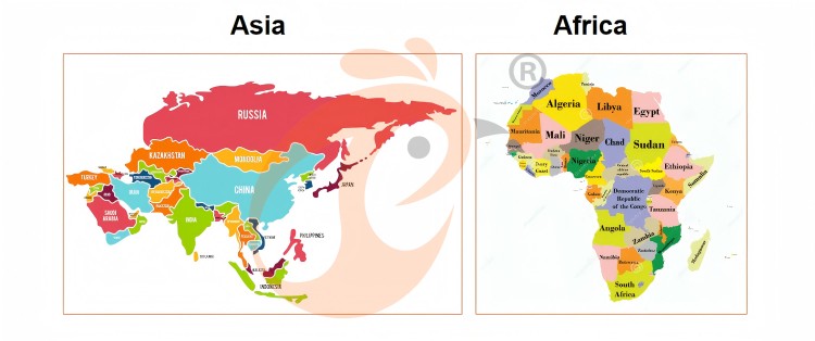 Battery cage system price of layer chicken (8) 750 Battery cage system price of layer chicken (8) 750