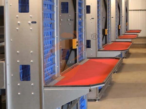 poultry cage egg collection (2)