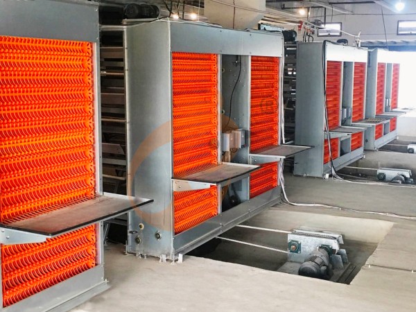 poultry cage egg collection (2)