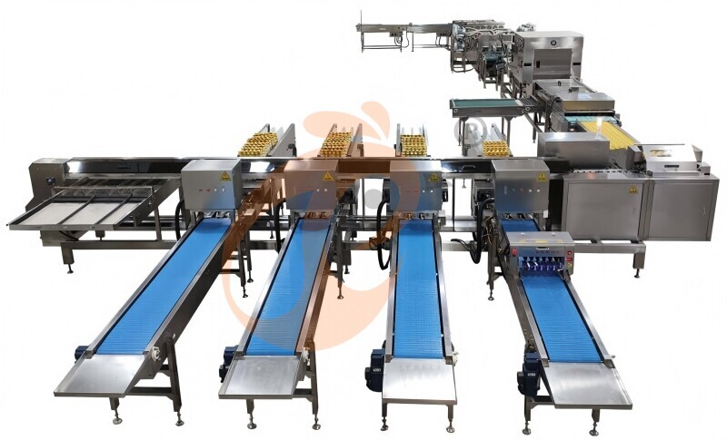 Automatic terminal egg collecting, sorting and packing for poultry cage, realize efficient processing and intelligent management of poultry eggs