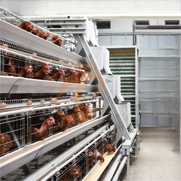 layer battery cage system (15)