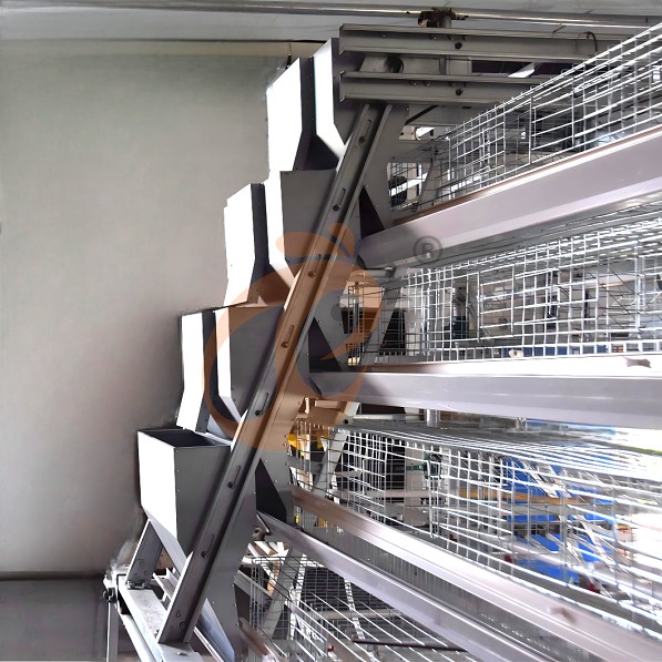 brooder battery cage system (9)